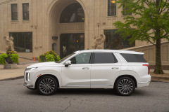 Large-52003-2023Palisade