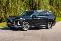 Large-52007-2023Palisade