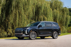 Large-52009-2023Palisade