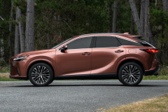 2023_RX_350_PremiumAWD_Copper_3