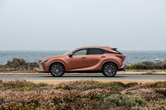 2023_RX_350_PremiumAWD_Copper_1