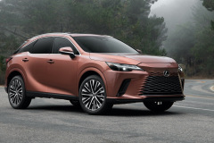 2023_RX_350_PremiumAWD_Copper_6