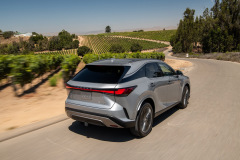 2023_RX_350h_Luxury_Iridium_18