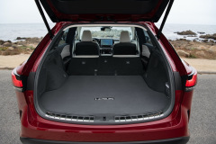 2023_RX_350h_Premium_AWD_MatadorRedMica_10
