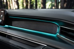 2024 EV9 GT-Line