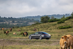 Mercedes-Benz CLE-Class, San Sebastian 2023