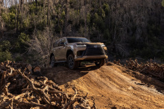 2025_Lexus_LX_700h_Overtrail_Earth_023