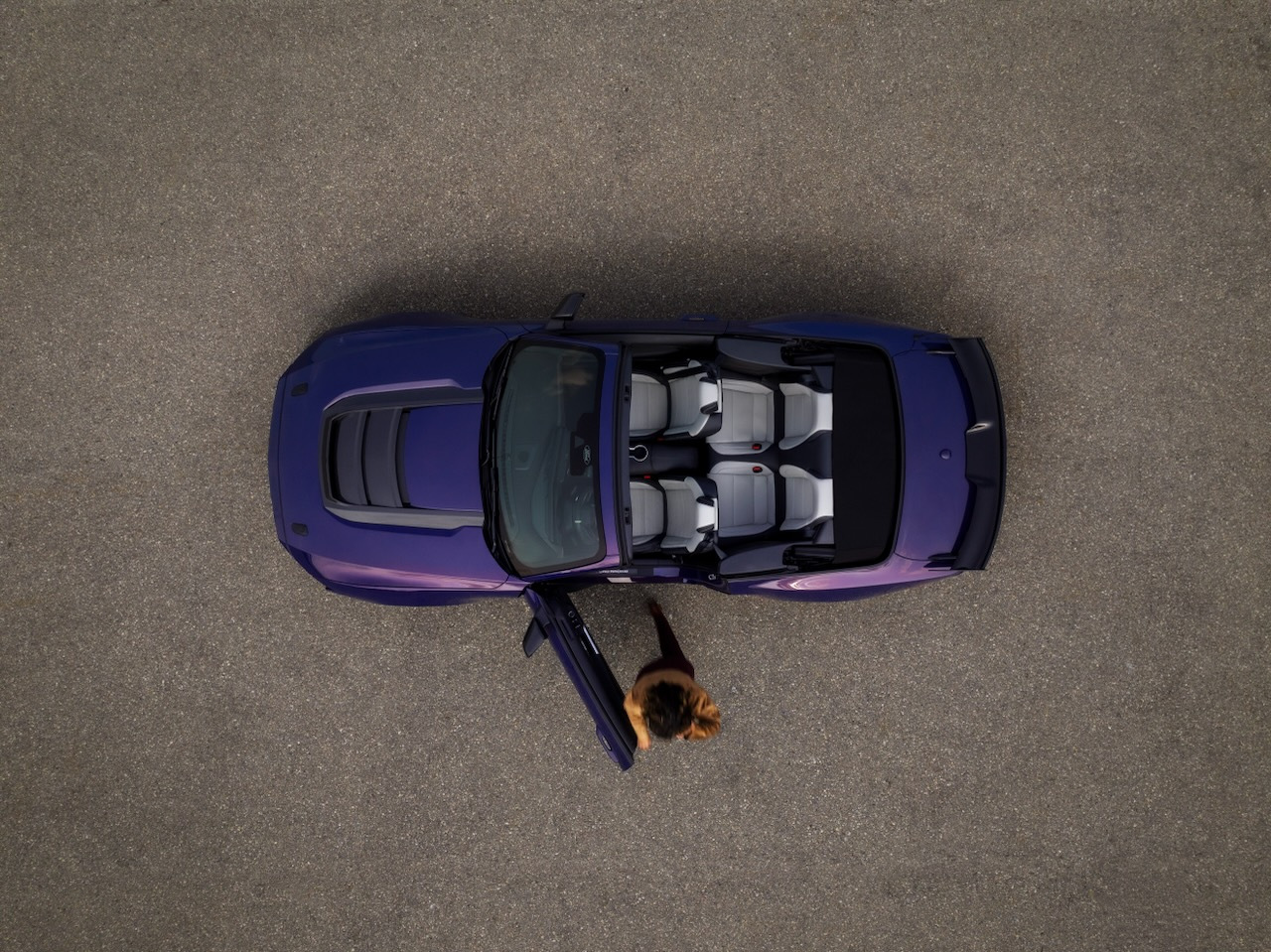 Ford Mustang Dark Horse SC Convertible