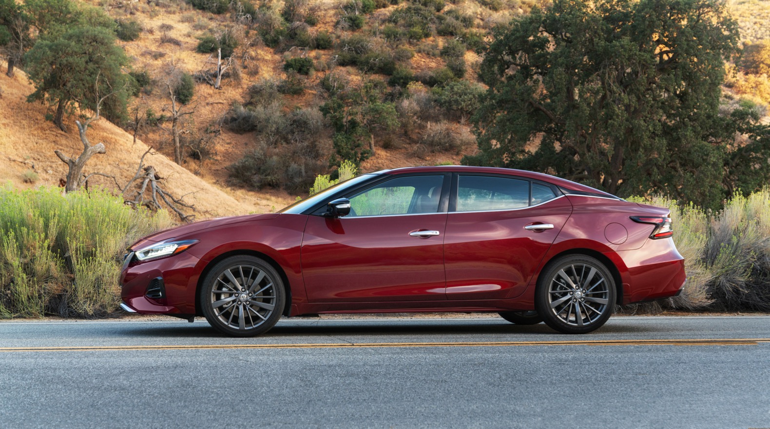 Nissan maxima 2019