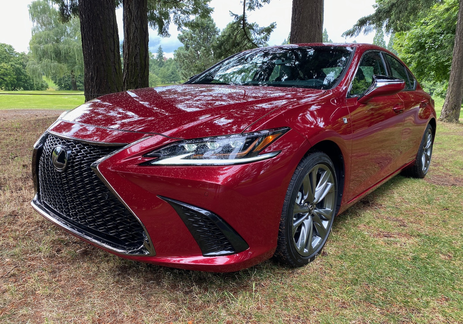 2020 Lexus ES 350 Review The Sedate Sedan No More The Torque Report