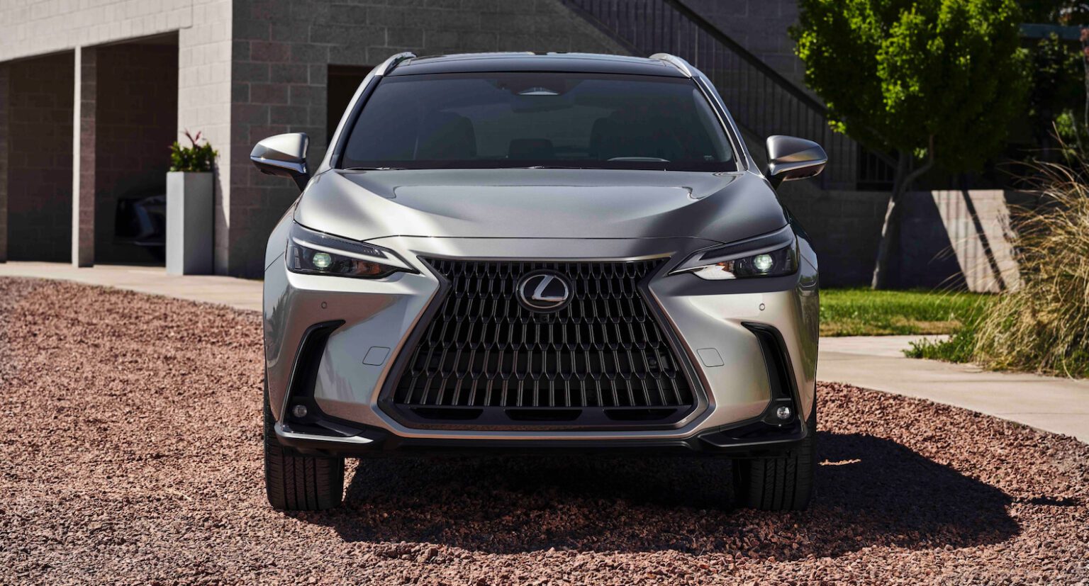 Лексус nx 2022