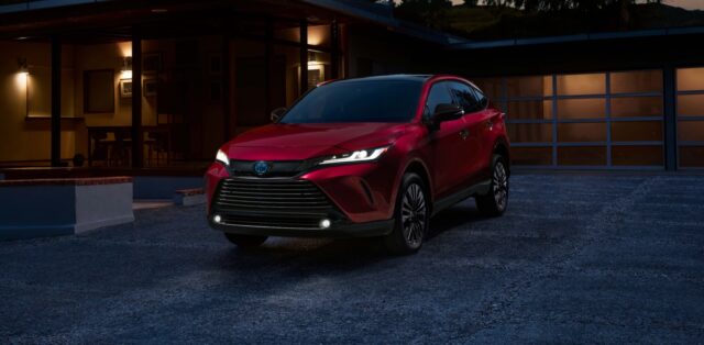Venza Nightshade Edition