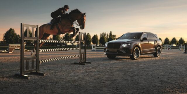 Bentley Belgian Equestrian Collection